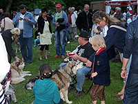 Huskyerlebnistag (ca. 3 Stunden)